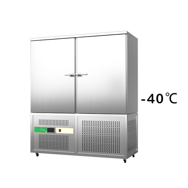 Prosky Saga 610L Промышленная точная точность продовольственной продовольственной морозильной камеры с панелью