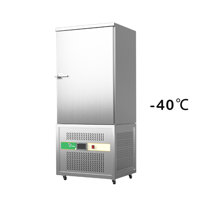 Prosisk Saga 220L Коммерческий мини -точный взрыв Blast Chiller Shoke Morecreer for Home